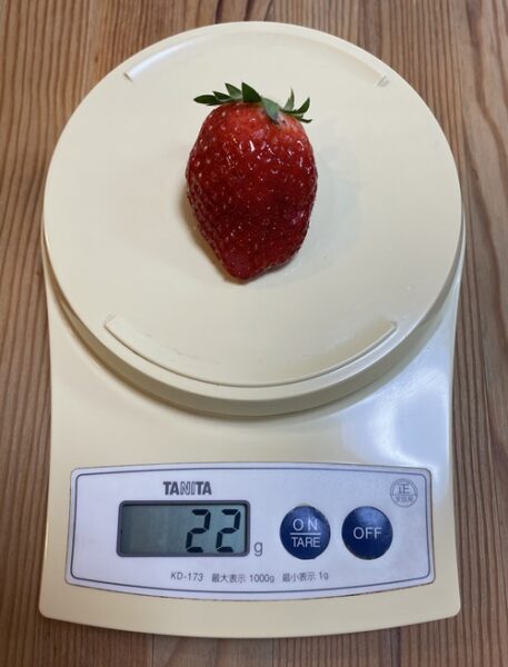 1個22gの苺