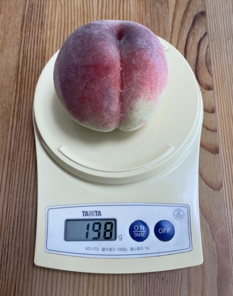 1個198gの桃