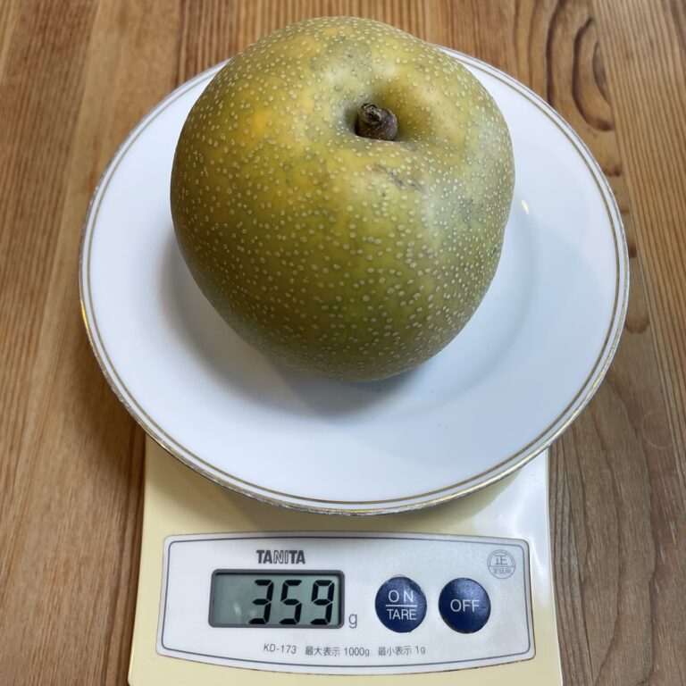  Samsung ベルギー、Apple に関するツイートごとに梨 1 個を寄付