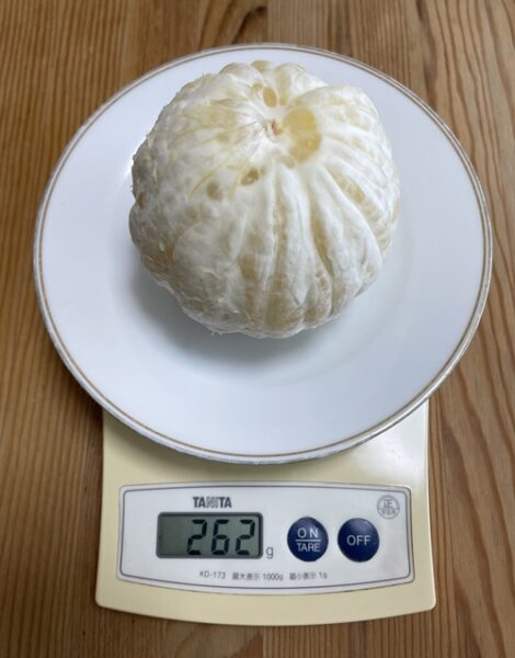 外皮を剥いたグレープフルーツの重さは262g