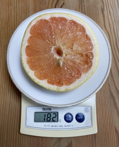 半分にカットしてグレープフルーツの重さは182g