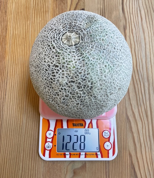 1玉1.2kgのメロン